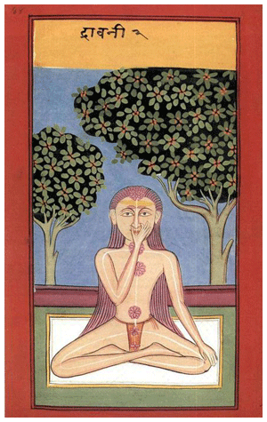hatha yoga pradipika
