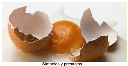 embrion